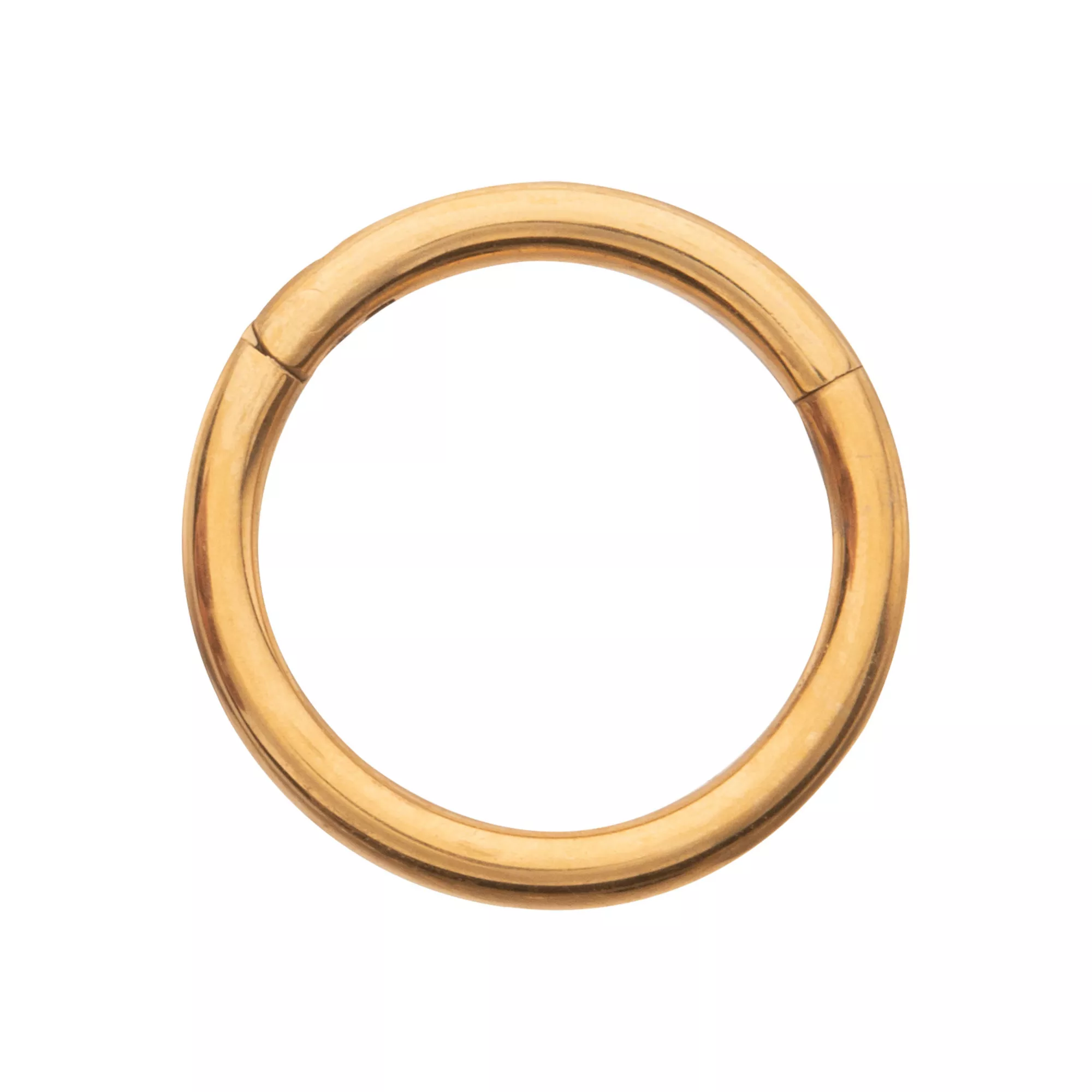 Gold ASTM F-136 Titanium Hinged Septum Ring - 16 Gauge at Spencer's