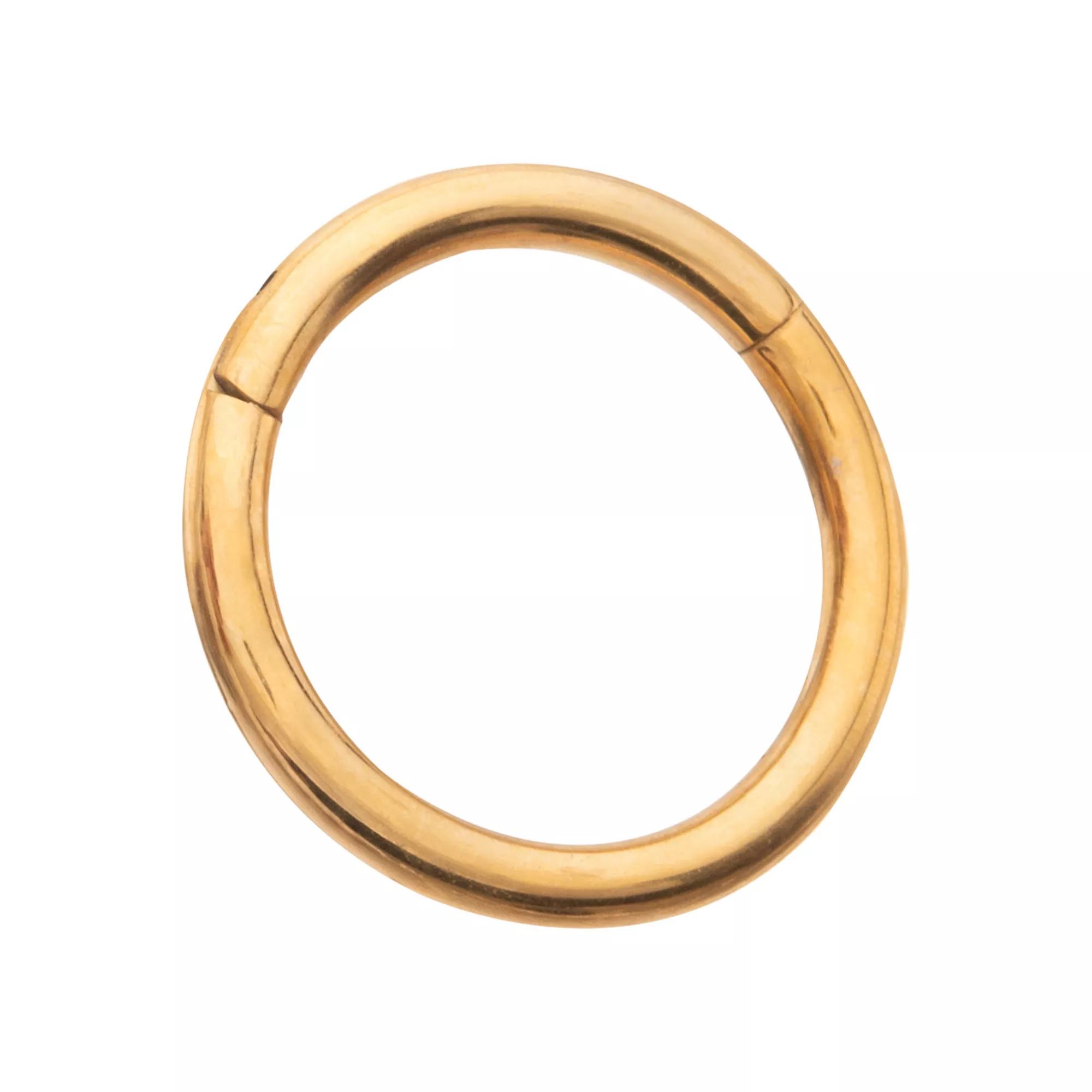 Gold ASTM F-136 Titanium Hinged Septum Ring - 16 Gauge at Spencer's
