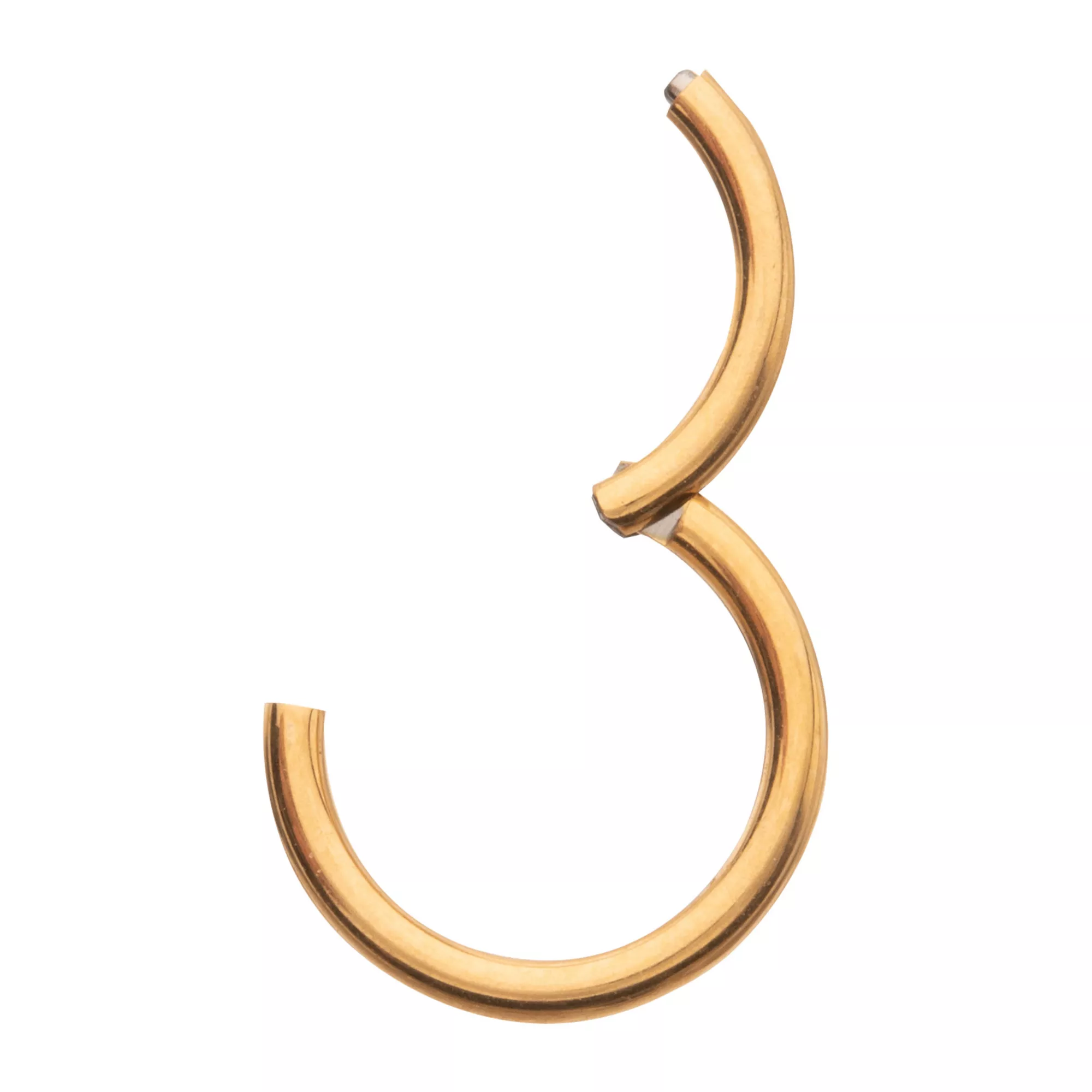 Gold ASTM F-136 Titanium Hinged Septum Ring - 16 Gauge at Spencer's