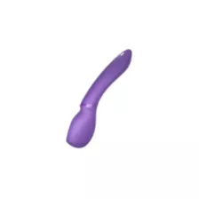We-Vibe Wand 2 Purple at Spencer's