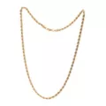 Gold Rope Chain Necklace at Spencer's