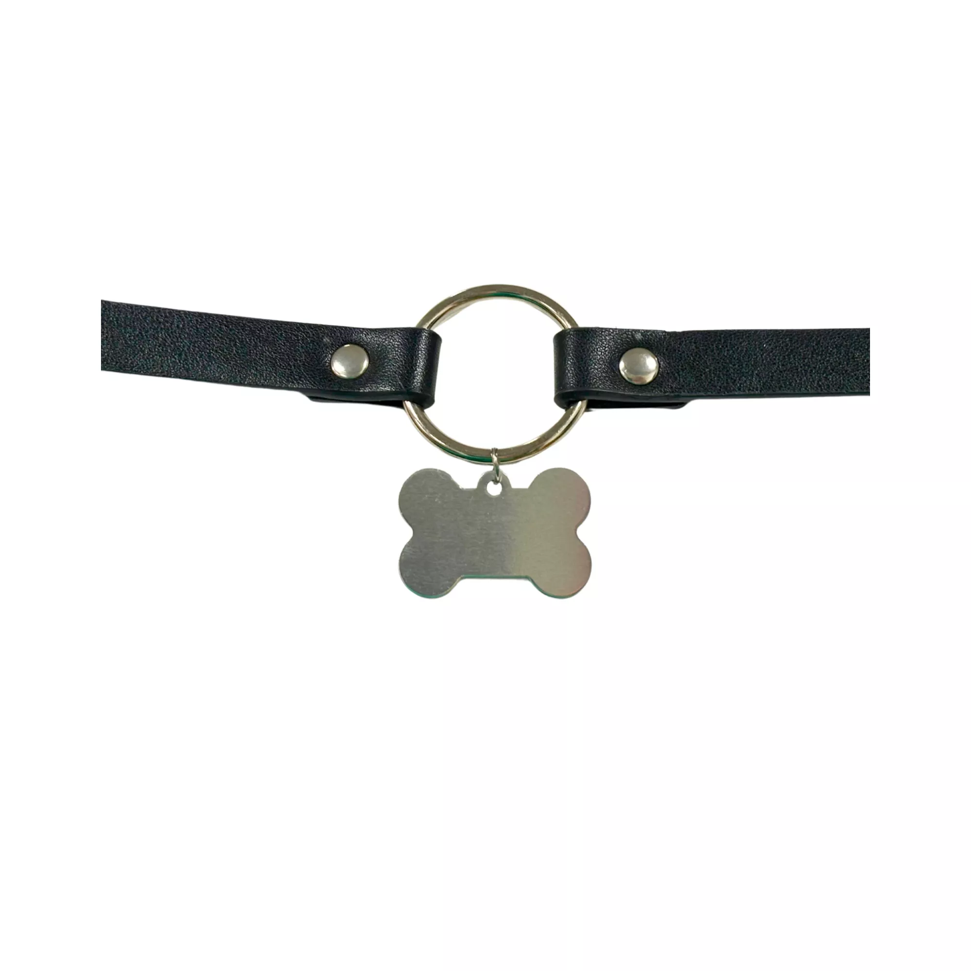 Pleasure Bound Puppy Play Collar and Leash