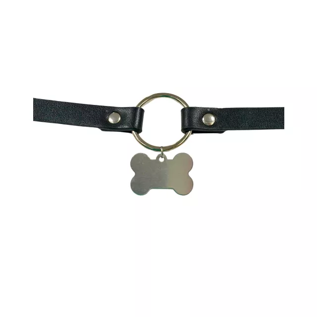 Pleasure Bound Puppy Play Collar and Leash at Spencer's