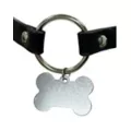 Pleasure Bound Puppy Play Collar and Leash at Spencer's