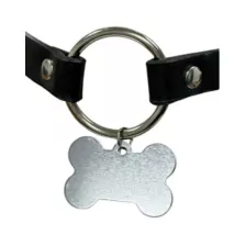 Pleasure Bound Puppy Play Collar and Leash at Spencer's