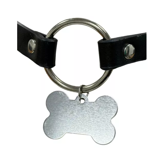 Pleasure Bound Puppy Play Collar and Leash at Spencer's
