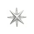 Silver Star Cartilage Stud - 18 Gauge at Spencer's