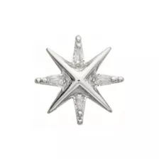 Silver Star Cartilage Stud - 18 Gauge at Spencer's