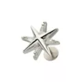 Silver Star Cartilage Stud - 18 Gauge at Spencer's