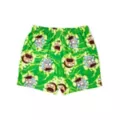 Green Rick and Morty Lounge Shorts at Spencer's