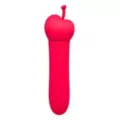 Cherry on Top Bullet Vibrator - Sexology at Spencer's