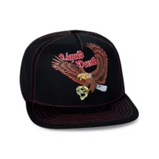Liquid Death Eagle Snapback Hat at Spencer's