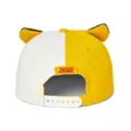 Cake 3D Face Snapback Hat - Adventure Time at Spencer's