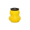 Molded Ducky Storage Jar - 5 oz. at Spencer's