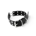 Black Barbed Wire Choker Necklace at Spencer's