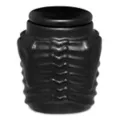 Black Ribcage Stash Jar at Spencer's