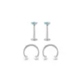 Multi-Pack Prong Blue CZ Titanium Horseshoe Rings and Labret Lip Rings 2 Pair - 16 Gauge at Spencer's