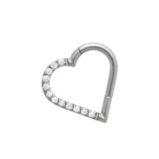 CZ Titanium Heart Hinged Hoop Ring - 16 Gauge at Spencer's