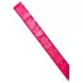 Rhinestone Birthday Bitch Sash at Spencer's