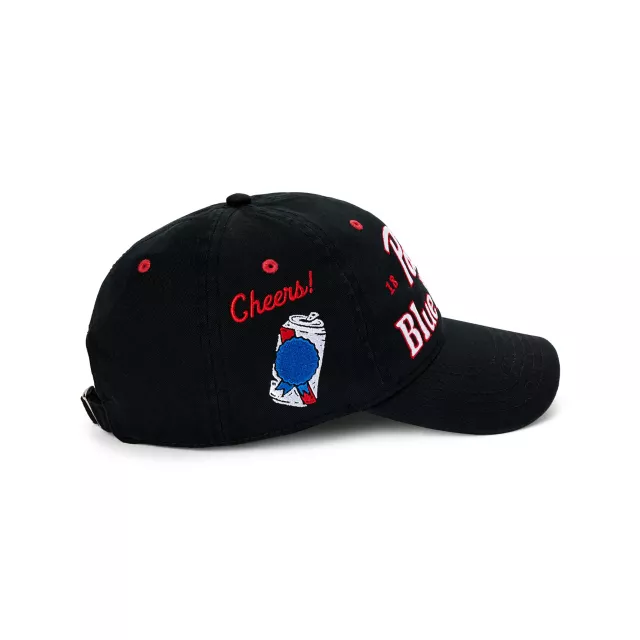 Pabst Blue Ribbon Skull Drinking Dad Hat at Spencer's