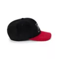 WWE New World Order Curve Snapback Hat at Spencer's