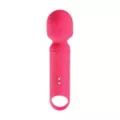 Sexology Pink Crush Wand Massager at Spencer's