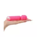 Sexology Pink Crush Wand Massager at Spencer's