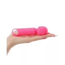 Sexology Pink Crush Wand Massager at Spencer's
