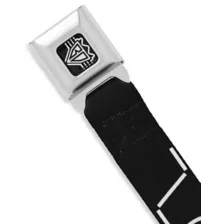 Buckle-Down Fuck It Seatbelt Belt at Spencer's