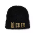 Wicked Soft Fuzzy Cuff Beanie Hat at Spencer's