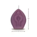 Eden's Candle Vagina Eggplant at Spencer's