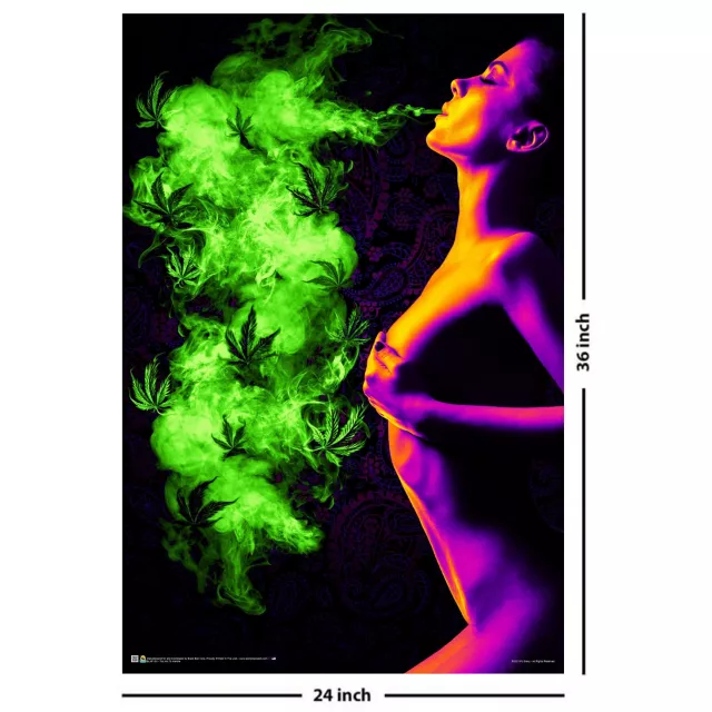 Too Hot Blacklight Poster - 36" x 24"