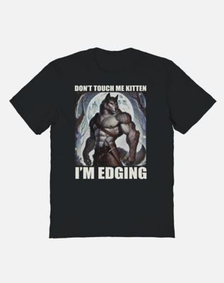 Don't Touch Me Kitten I'm Edging T Shirt