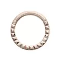Pyramid Stud Titanium Hinged Septum Ring - 16 Gauge at Spencer's