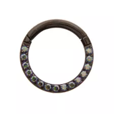 Vitrail CZ Black Titanium Hinged Septum Ring - 16 Gauge at Spencer's