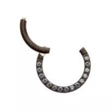 Vitrail CZ Black Titanium Hinged Septum Ring - 16 Gauge at Spencer's