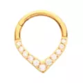 ASTM F-136 Titanium CZ Goldtone Septum Ring at Spencer's