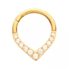 ASTM F-136 Titanium CZ Goldtone Septum Ring at Spencer's