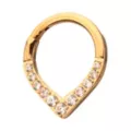 ASTM F-136 Titanium CZ Goldtone Septum Ring at Spencer's