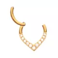 ASTM F-136 Titanium CZ Goldtone Septum Ring at Spencer's