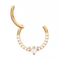ASTM F-136 Titanium CZ Gold Plated Hinge Septum Ring - 16 Gauge at Spencer's