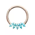 Titanium CZ Blue Gems Hinged Septum Ring - 16 Gauge at Spencer's