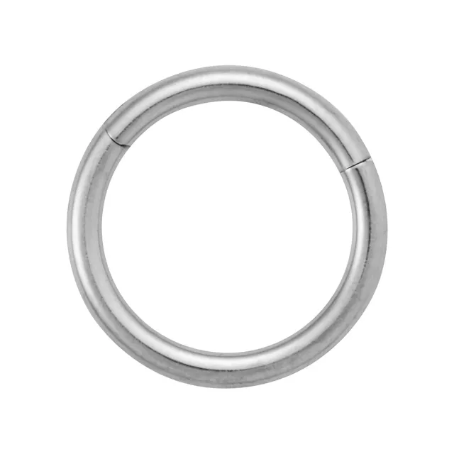 Titanium Hinged Hoop - 16 Gauge