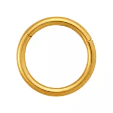 Gold Titanium Basic Hinge Hoop - 16 Gauge at Spencer's