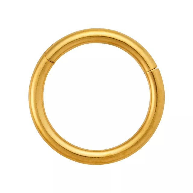 Gold Titanium Basic Hinge Hoop - 16 Gauge at Spencer's