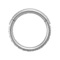 Titanium CZ Hinged Hoop - 16 Gauge at Spencer's