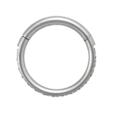 Titanium CZ Hinged Hoop - 16 Gauge at Spencer's