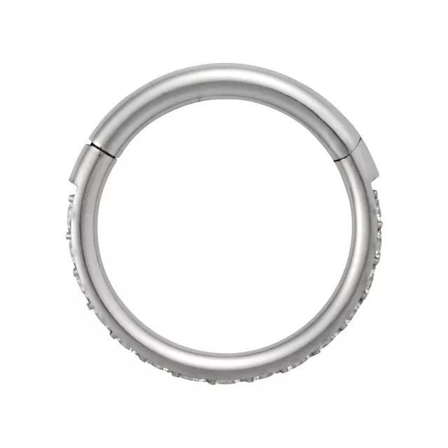 Titanium CZ Hinged Hoop - 16 Gauge at Spencer's