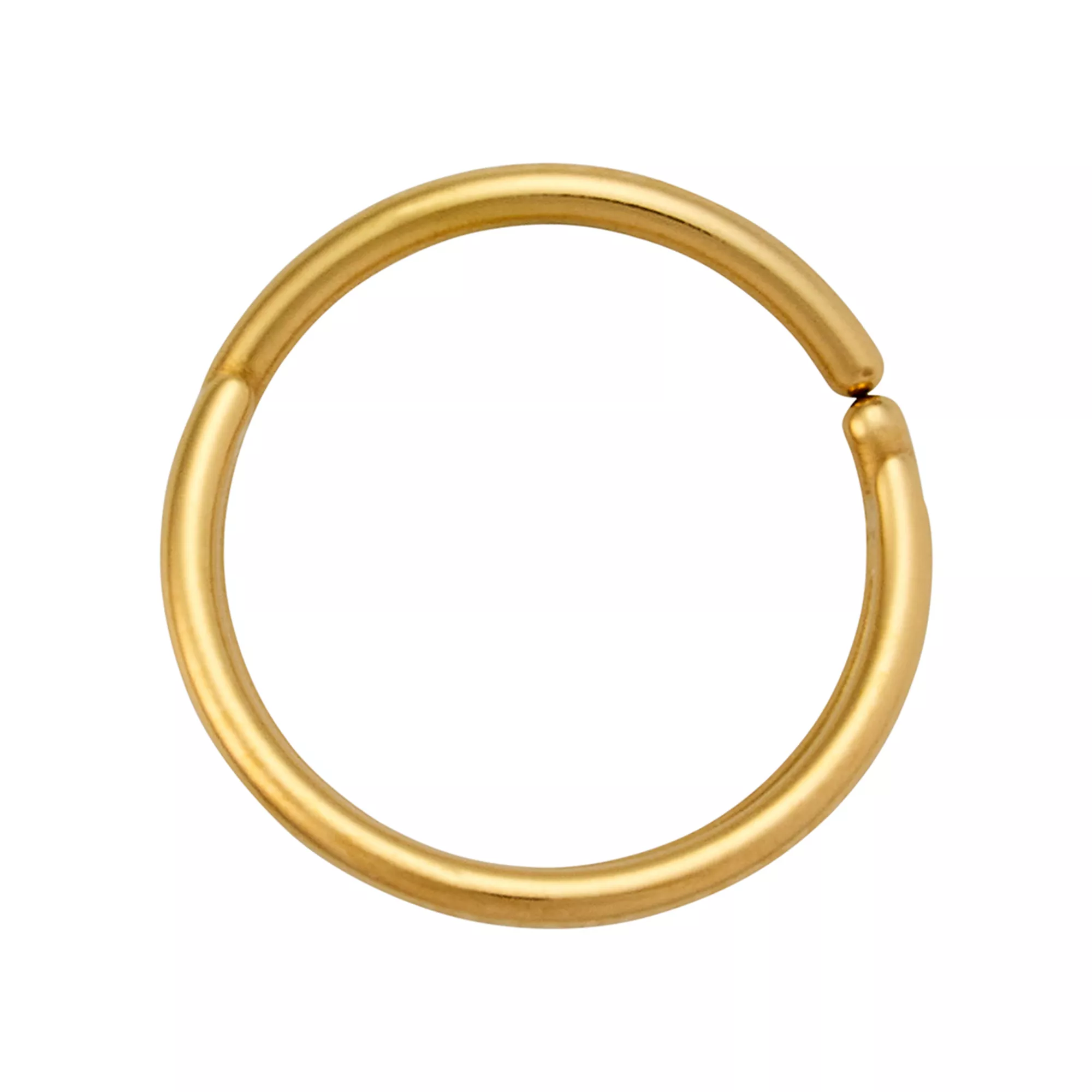 Gold Titanium 2-Row Nose Hoop - 20 Gauge at Spencer's