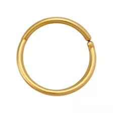 Gold Titanium 2-Row Nose Hoop - 20 Gauge at Spencer's